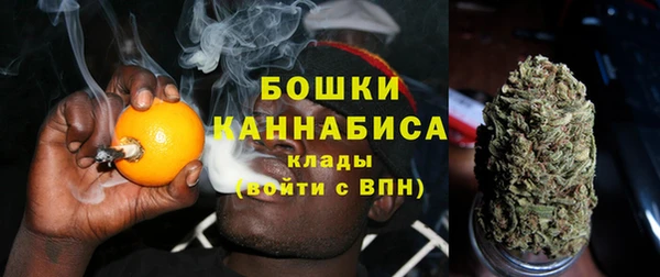 СК Няндома