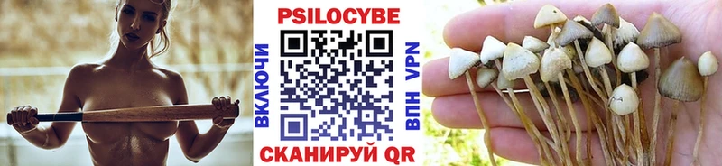 Псилоцибиновые грибы мухоморы Теберда